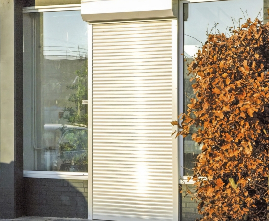 Рольставни на двери в Александровском